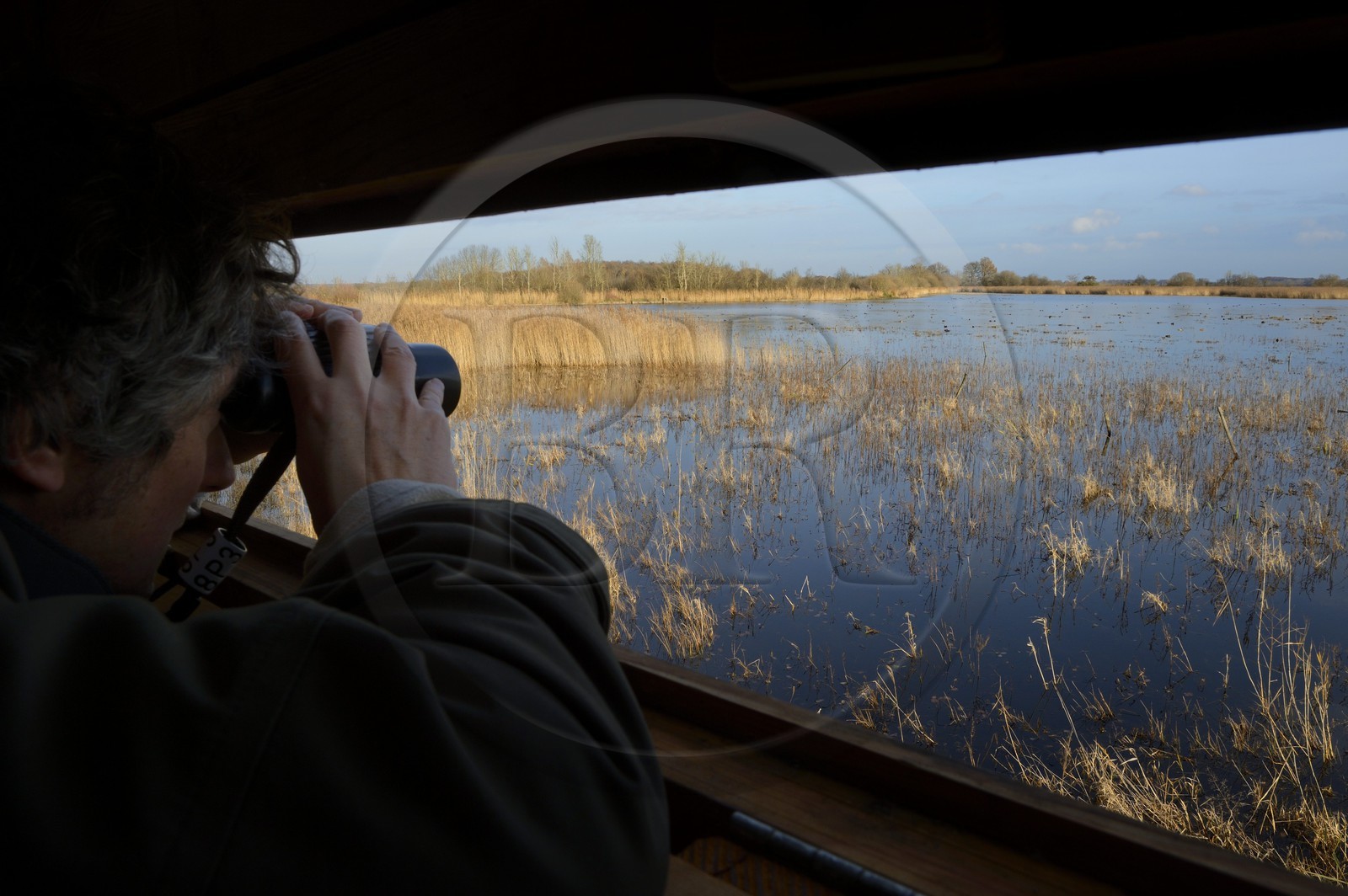 France, Indre (36), le Berry, parc naturel régional de la Brenne, étang de La Touche, observatoire aménagé par le parc et par la Ligue pour la protection des oiseaux, observation des oiseaux