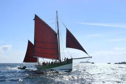 France, Cotes-d'Armor, Perros-Guirec, Sept-Iles Archipelago and bird sanctuary, the traditional sailboat Sant C'hireg (Saint Guirec) in front of Rouzic island, northern gannets colony (Morus bassanus)