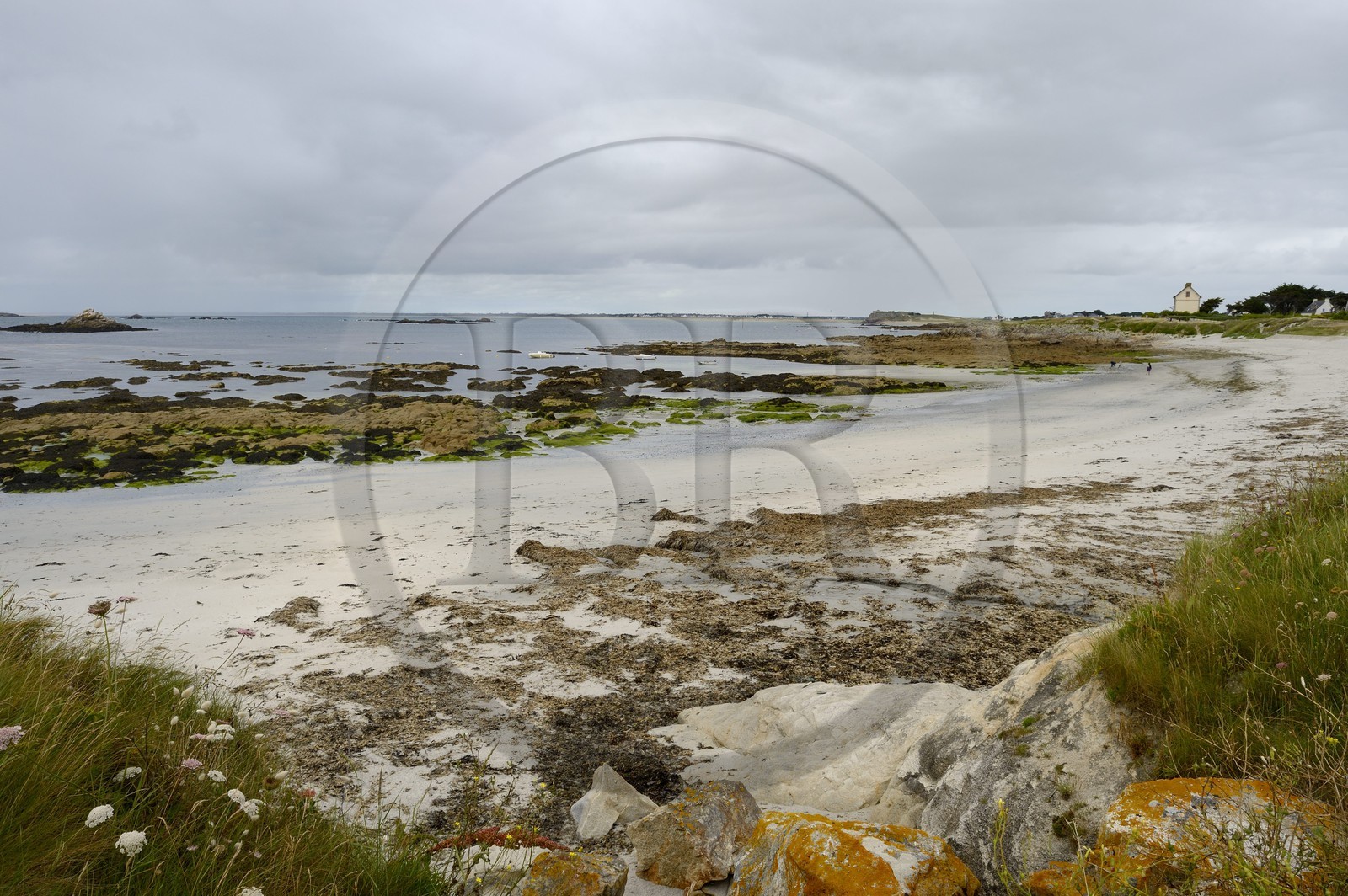 France, Morbihan (56), Presqu'île de Quiberon, la côte sauvage