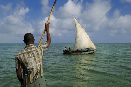 Tanzanie, archipel de Zanzibar, île de Unguja (Zanzibar), côte est, baie de Chwaka vers Michamvi, un dhow (boutre traditionnel)