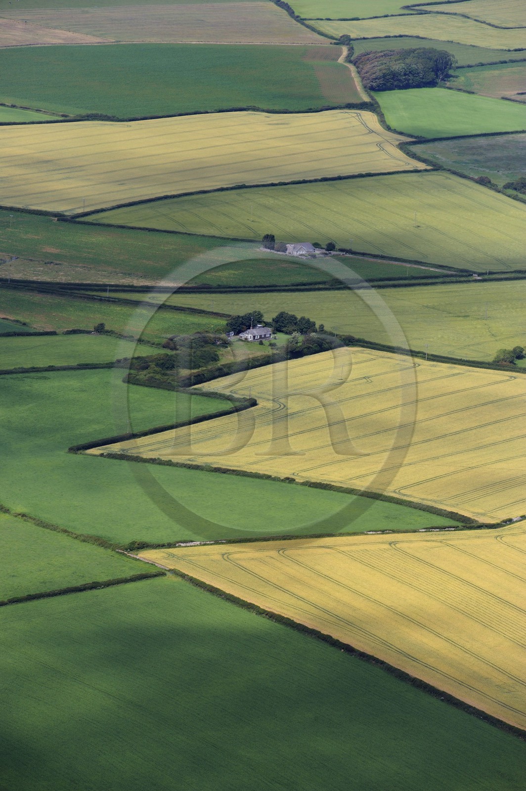 Royaume-Uni, Angleterre, Pays de Galles, champ dans la région de Llantwit Major (vue aérienne)