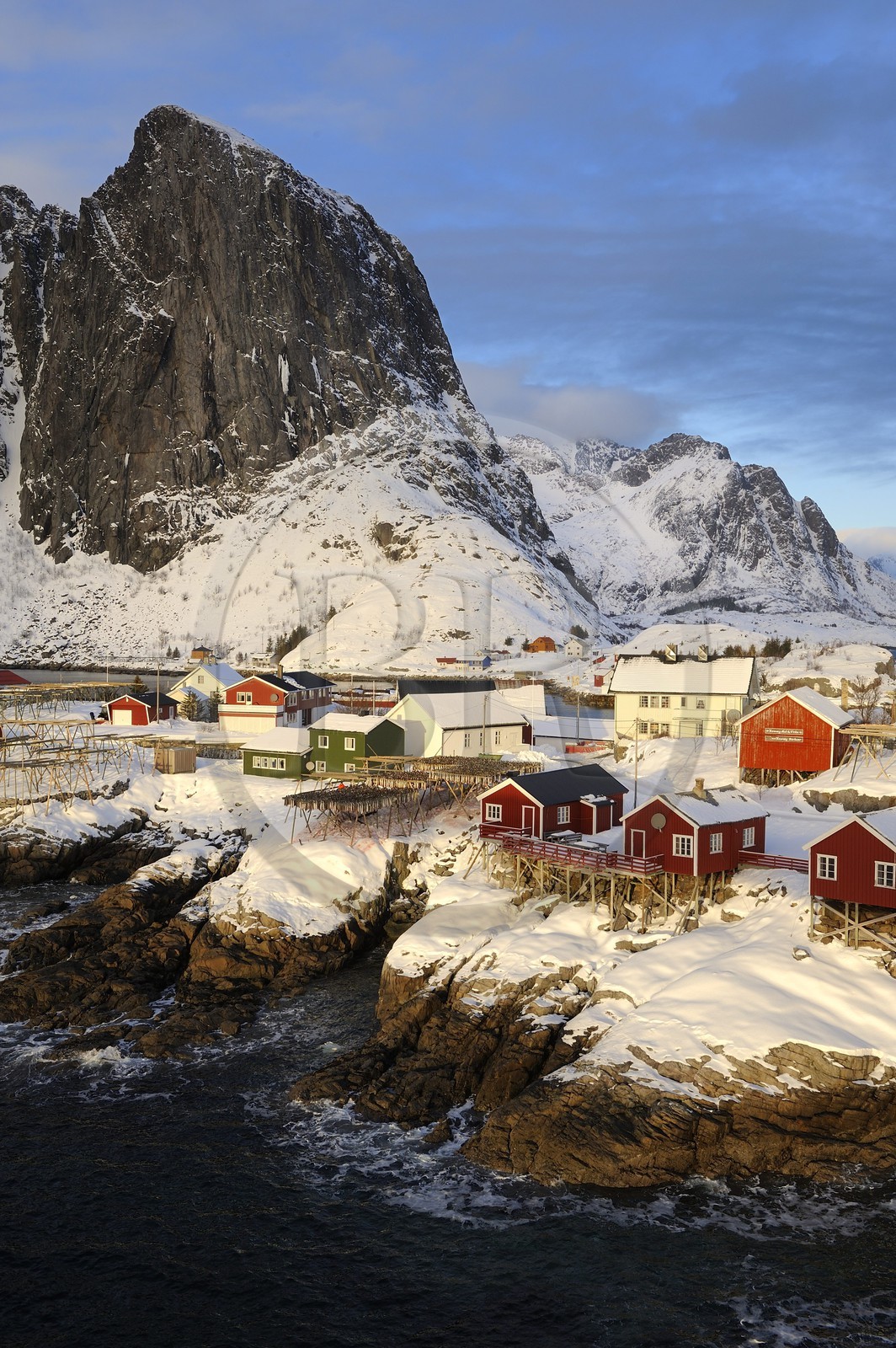 Norway, Nordland County, Lofoten Islands, Moskenes Island, Hamnoy fishing harbour nearby Reine, hanging cod-fish for drying