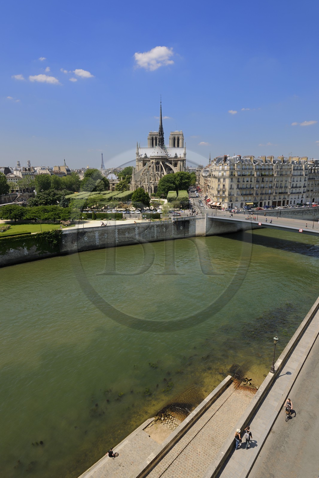 France, Paris (75), les rives de la Seine classées Patrimoine Mondial de l'UNESCO, île de la Cité, la cathédrale Notre-Dame
