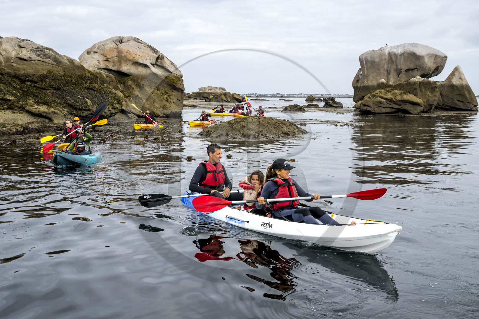 France, Finistère, Penmarch, Étocs archipelago, kayak trip from the Guilvinec Nautical Center to discover the gray seal (halichoerus grypus) in the rocks at low tide