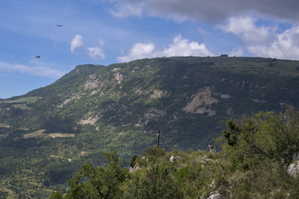France, Drôme (26), parc naturel régional des Baronnies provençales, Rémuzat, plateau Saint-Laurent, vol d'un vautour fauve (Gyps fulvus) au dessus de la vallée de l'Oule
