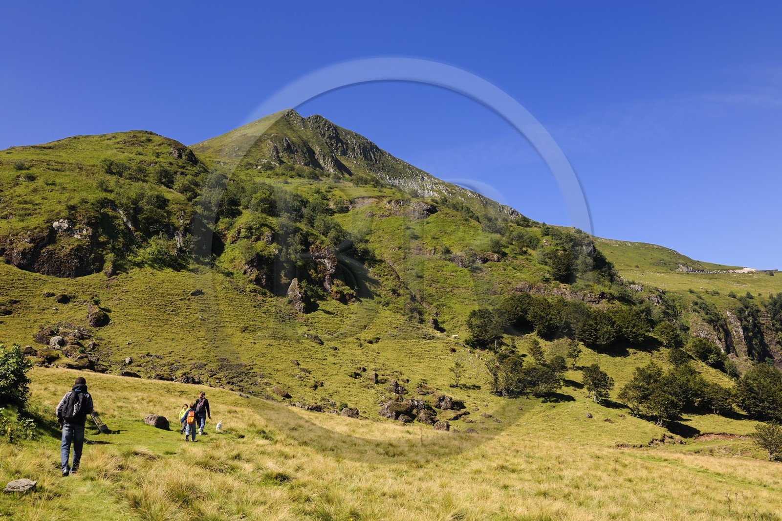 France, Cantal, France, Cantal, monts du Cantal, Parc Naturel Régional des Volcans d'Auvergne (regional nature park of Auvergne volcanoes), hiking at the bottom of the Puy-Mary mount (1783m)