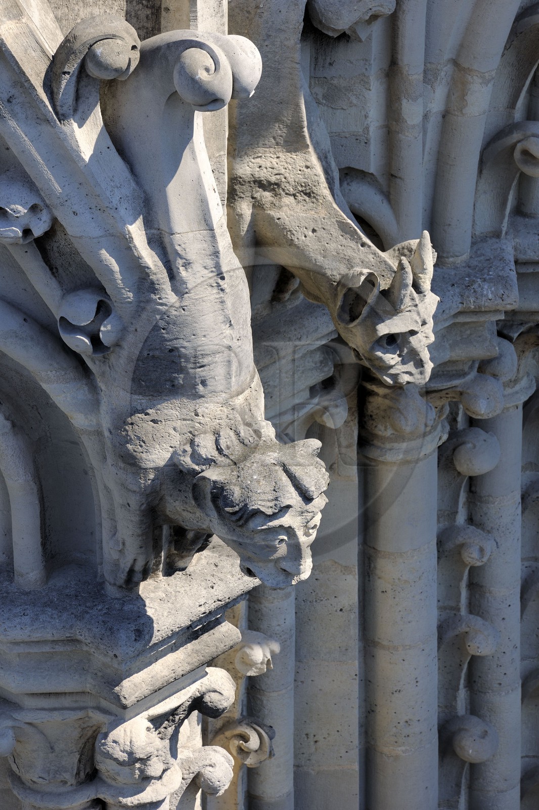 France, Paris (75), île de la Cité, la cathédrale Notre-Dame, les chimères observent la ville