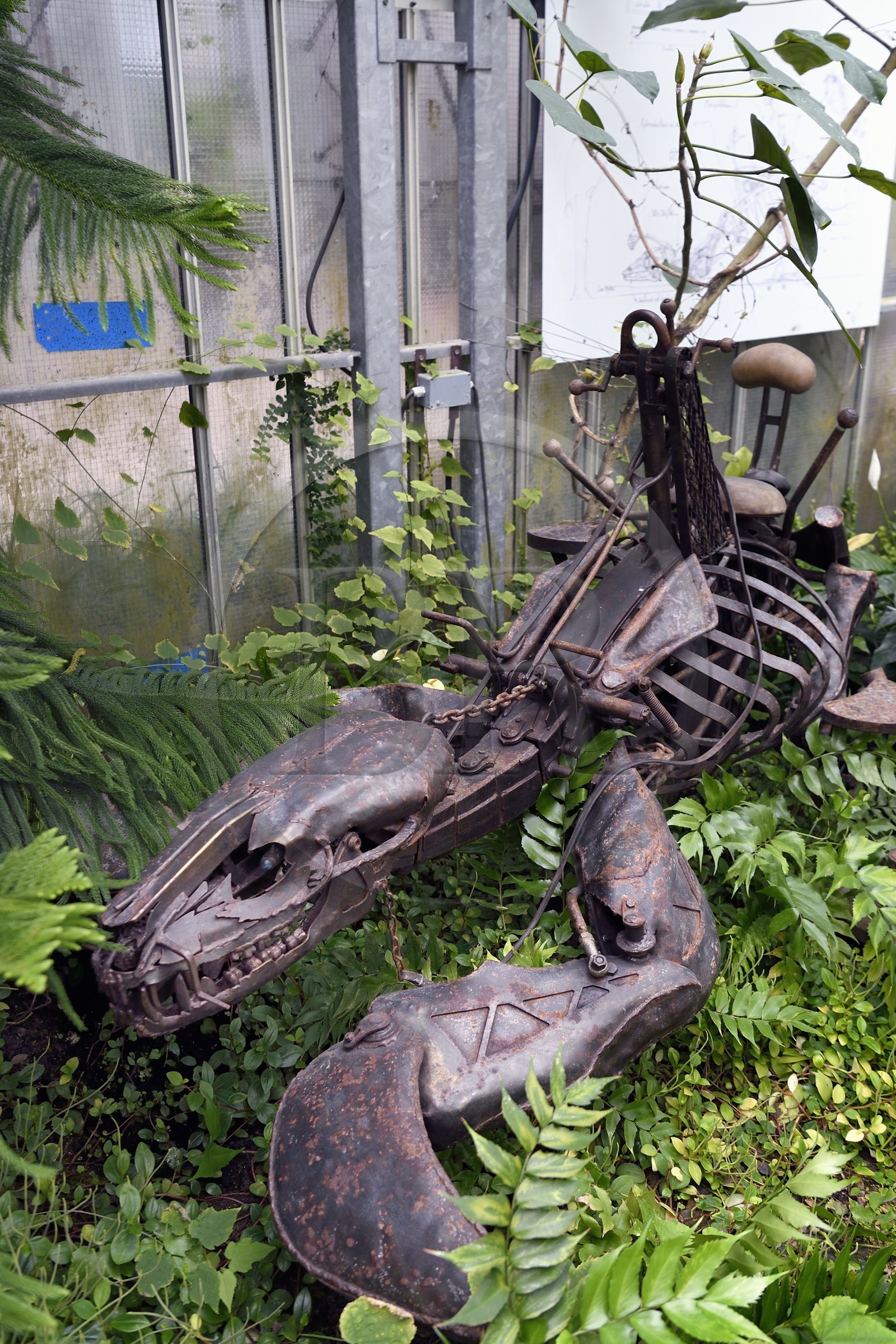 France, Loire-Atlantique, Nantes, gallery of the Machines de l'Ile in the hangars of former shipyards, an artistic project created by François Delaroziere and Pierre Orefice, the Mechanical Mole