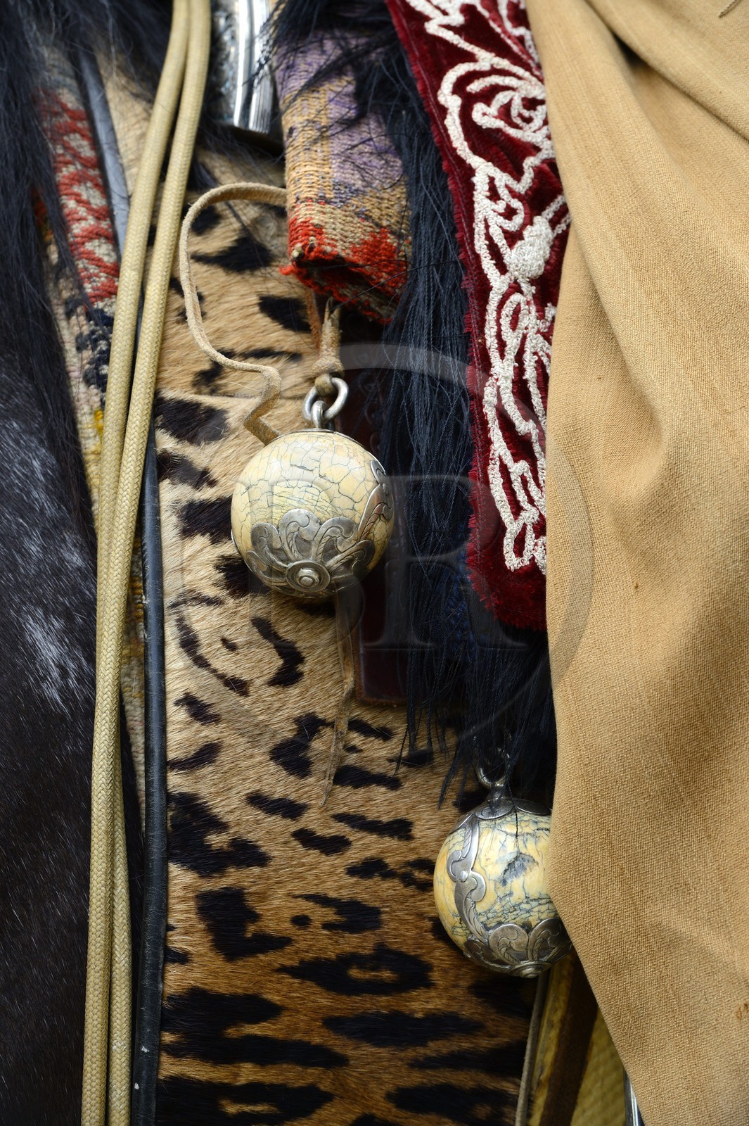 Argentina, Buenos Aires Province, San Antonio de Areco, Tradition Day festival (Dia de Tradicion), bolas (or boleadoras) hanging from the saddle