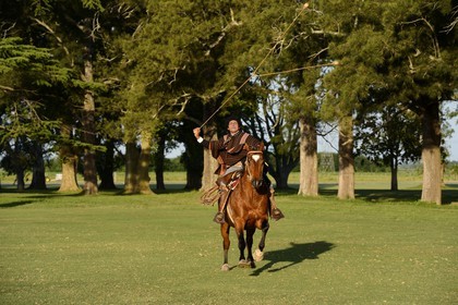 Argentine, province de Buenos Aires, San Antonio de Areco, estancia La Bamba de Areco, gaucho faisant une démonstration de l'usage des bolas (ou boleadoras) destinées à capturer les animaux en entravant leurs pattes