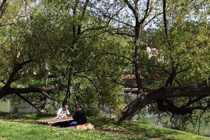 France, Val-de-Marne (94), les bords de Marne, Saint-Maur-des-Fossés, picnic en bordure de Marne au Quai du Mesnil