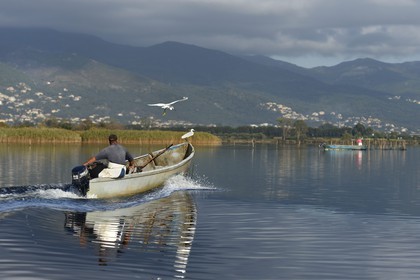 France, Haute-Corse (2B), pecheur en barque sur l'étang de Biguglia (stagnu di Chjurlinu) et Aigrette garzette (Egretta garzetta), réserve naturelle de Corse (RNC)