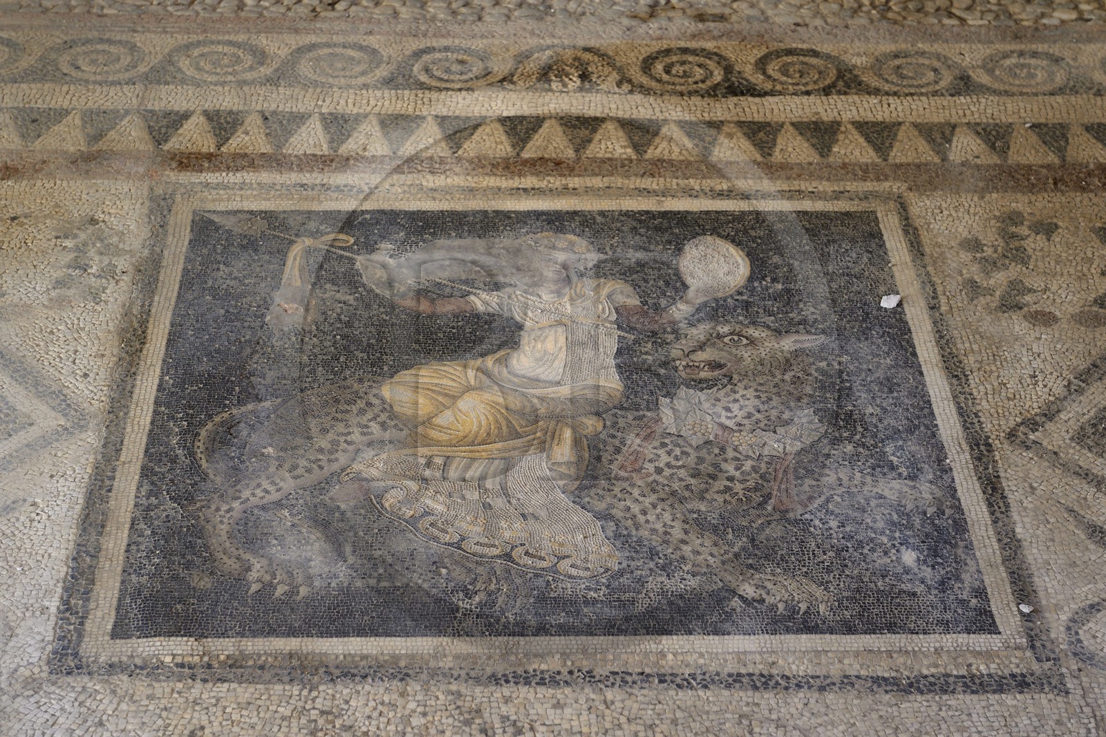 Grèce, île de Delos, classée Patrimoine Mondial de l'UNESCO, site archéologique de Délos, sanctuaire d'Apollon, la plus grande cité antique de la mer Egée, mosaïque représentant Dionysos sur un guépard dans la Maison des masques