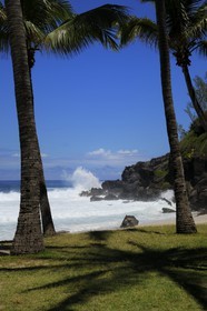 France, île de la Réunion, la côte sud, plage de Grand-Anse