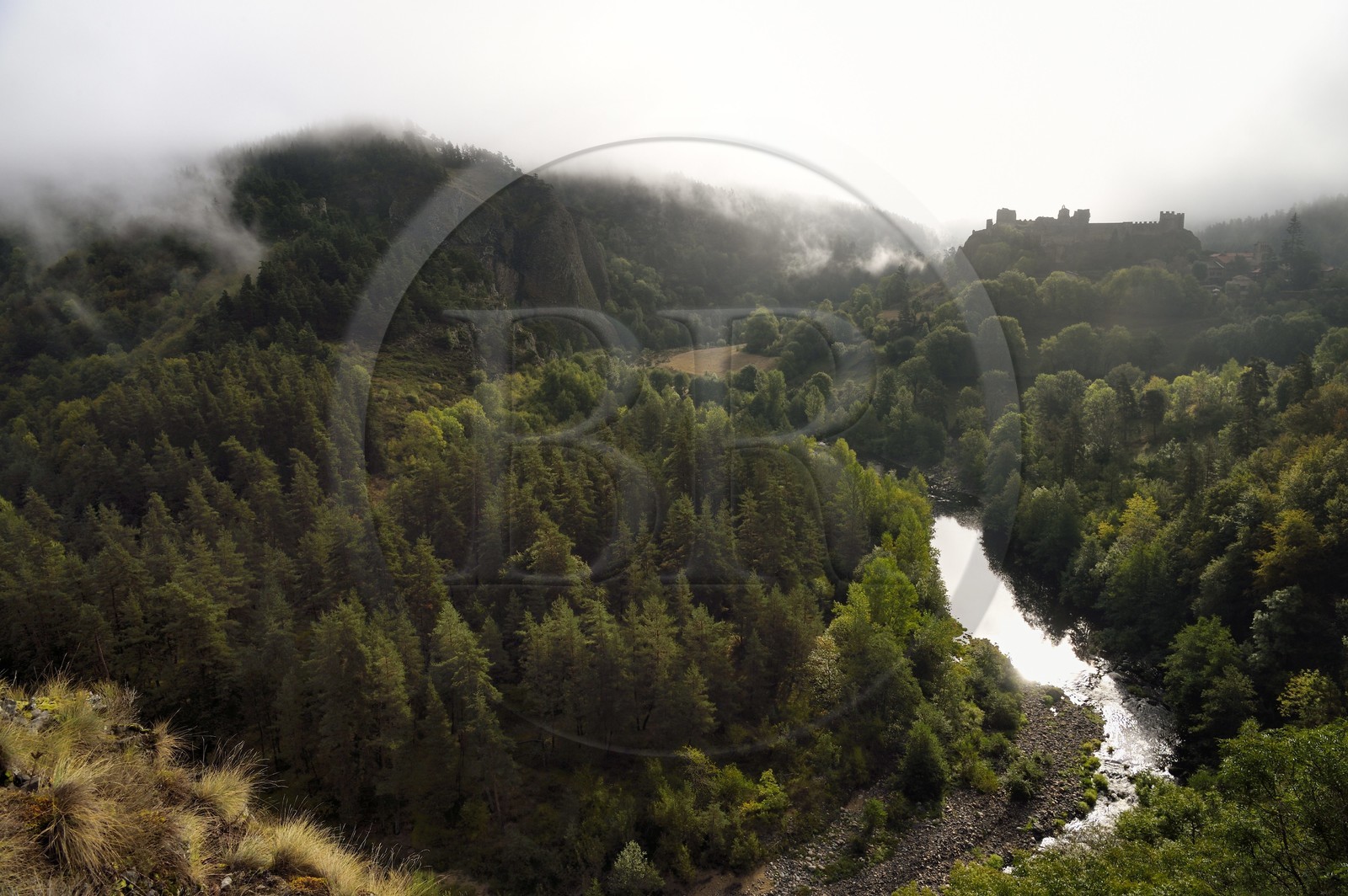 France, Haute-Loire (43), vallée de la Loire, Arlempdes, labellisé les Plus beaux villages de France, ruines du chateau perché sur un rocher basaltique qui surplombe un méandre de la Loire