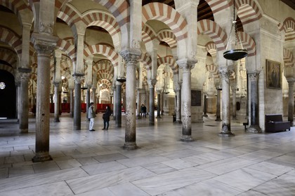 Espagne, Andalousie, Cordoue, centre historique classé Patrimoine Mondial de l'UNESCO, la Mezquita, mosquée-cathédrale, la forêt d'arcs et de colonnades illustre la monumentalité de l'Art omeyyade de Cordoue