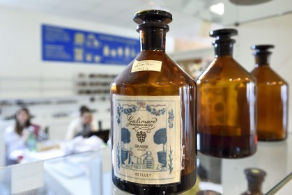France, Alpes-Maritimes, Grasse, Studio des Fragrances Galimard, bottle of Carnation extract