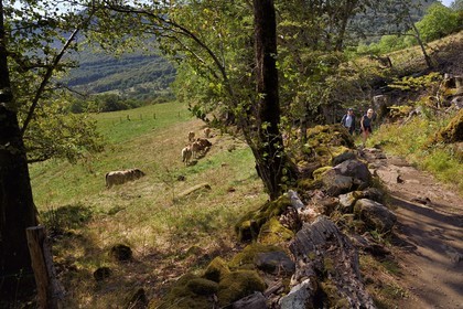 France, Cantal (15), Parc Naturel Régional des Volcans d’Auvergne, vallée de Brezons, hameau de Sanissage, chemin vers la cascade du Saut de la Truite