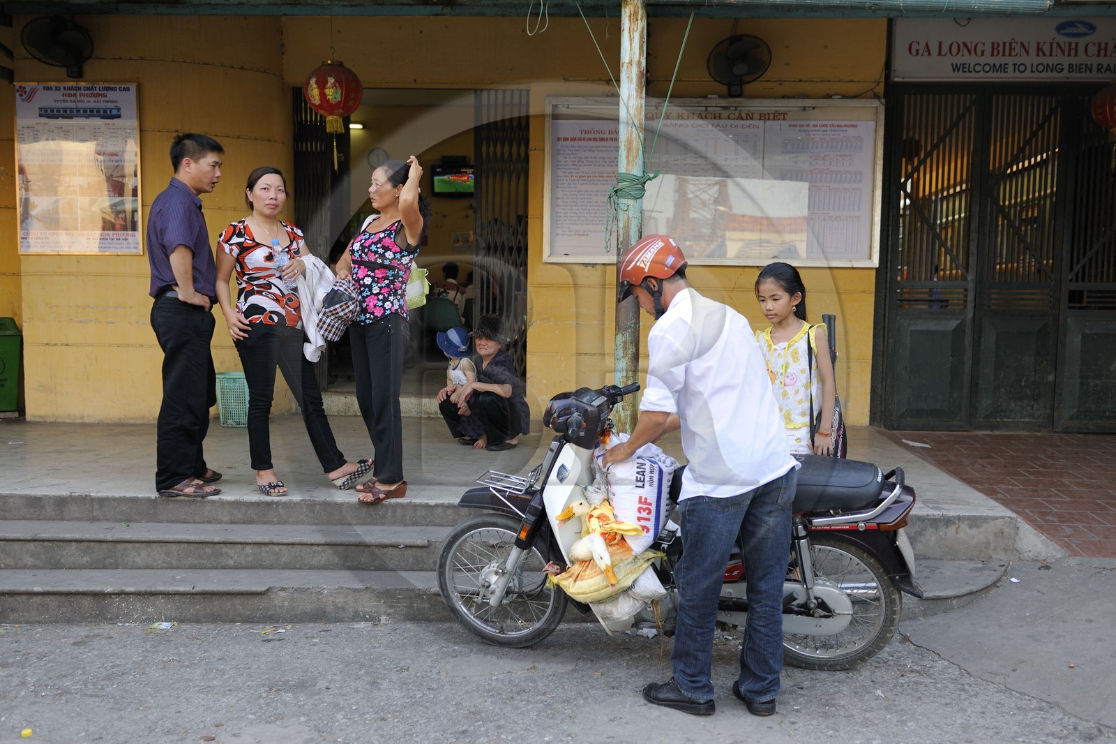 Vietnam, Hanoi, Long Bien train station, transport of ducks
