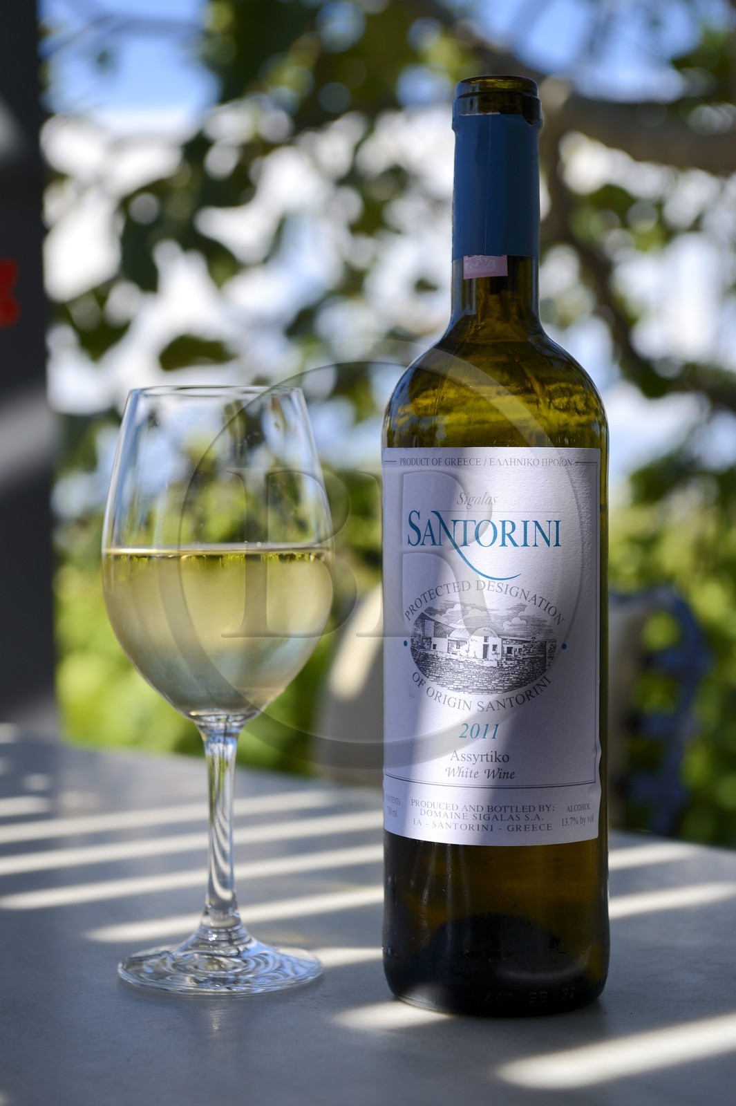 Grèce, Les Cyclades, mer Égée, île de Santorin (Thira ou Théra), plaine de Oia, Domaine Sigalas, vin blanc du cépage endemique Assyrtiko