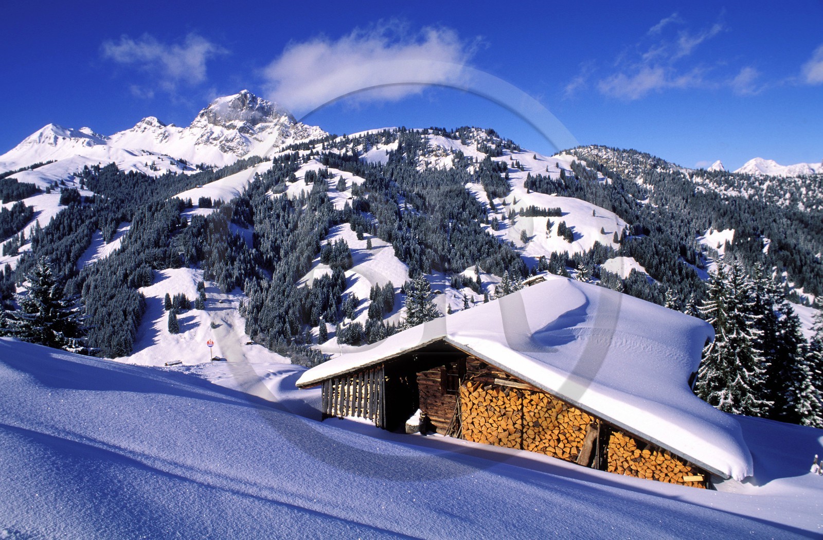 Switzerland, region of Bern (Bernese Oberland), Saanenland, Gstaad, snowed up chalet