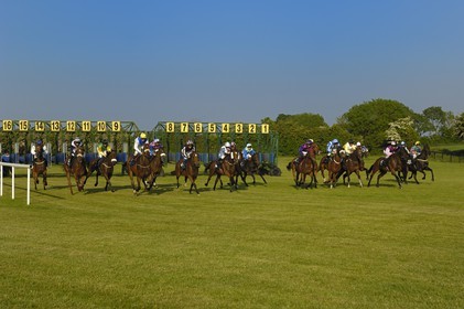 Irlande, Co. Meath, hippodrome de Fairyhouse, départ de la course
