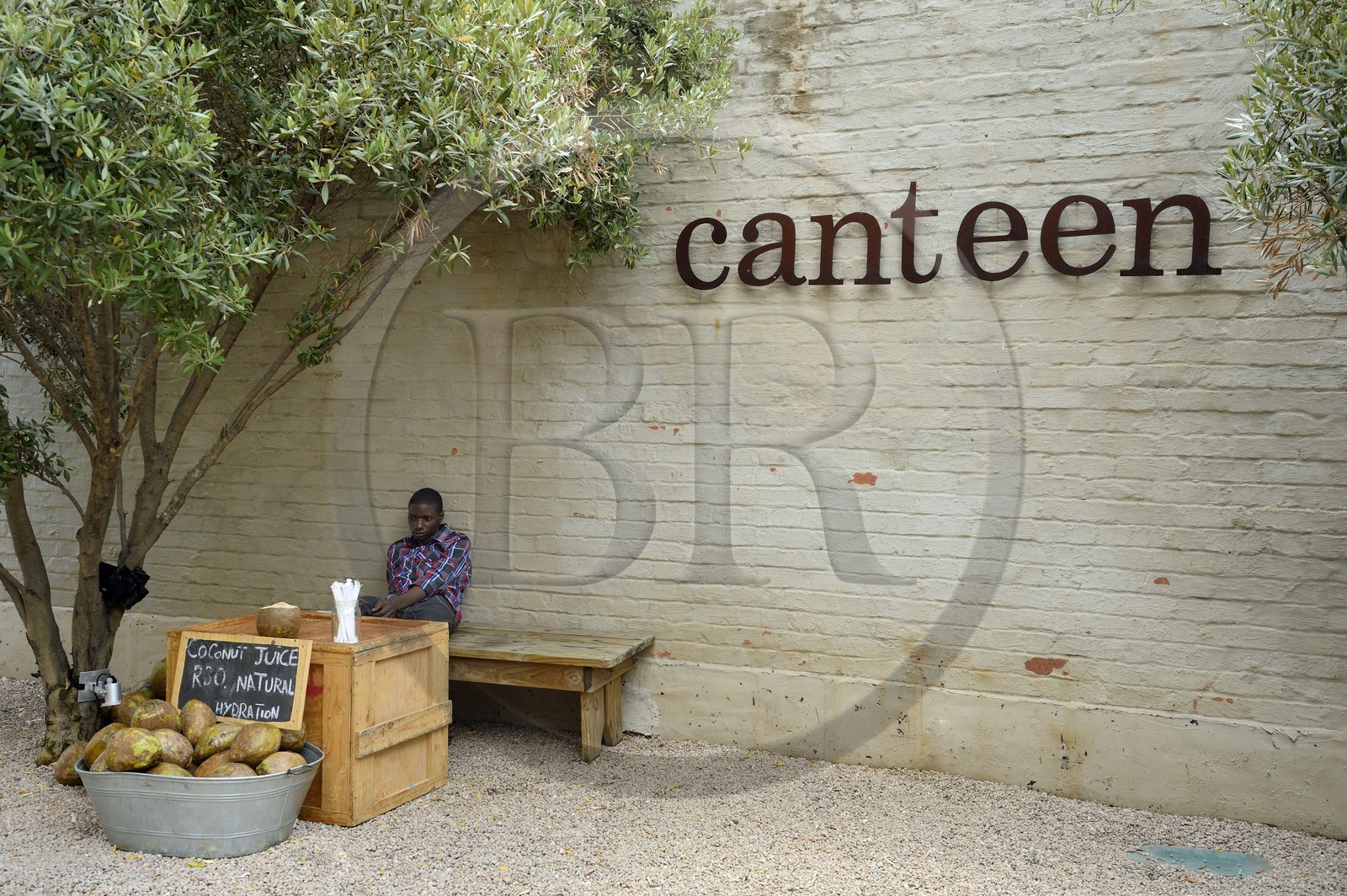 Afrique du Sud, province de Gauteng, Johannesburg, quartier de Maboneng, Arts on Main, lieu culturel dans un ancien entrepôt rénové qui a été construit à l'origine en 1911, mélangeant galeries d'art, librairies, restaurants et boutiques à la mode