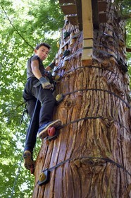 Suisse, Canton de Vaud, Aigle, parcours acrobatique en hauteur (accrobranche) au Parc Aventure