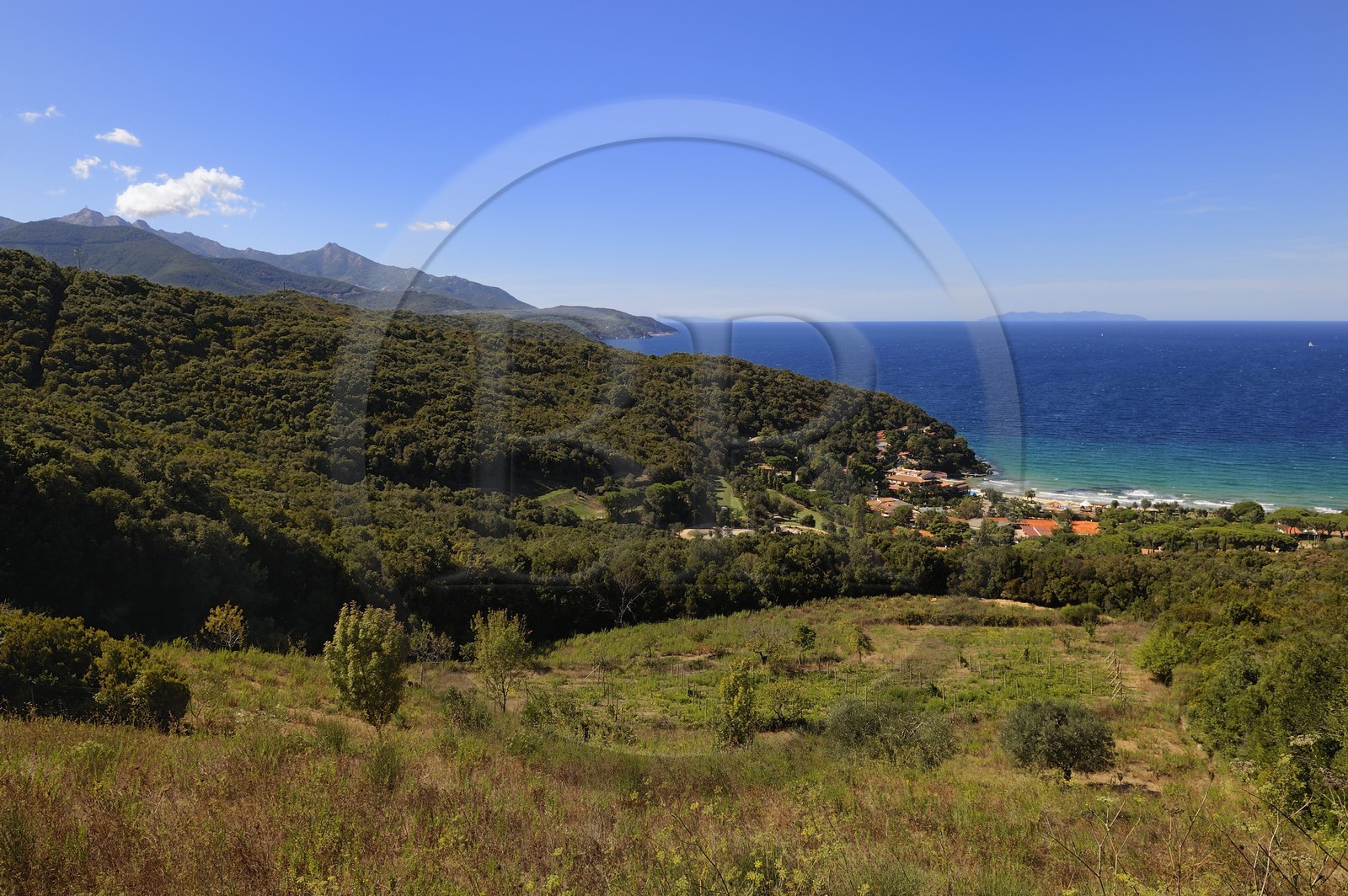 Italie, Toscane, l’Ile d’Elbe, paysage de la cote Nord à Campo all'Aia