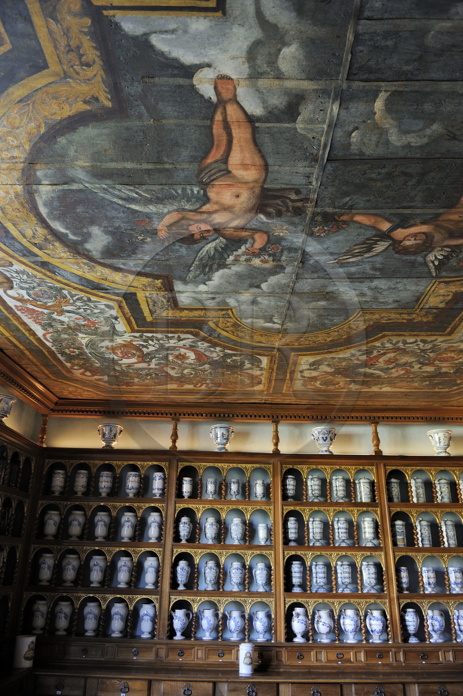 France, Saône et Loire (71), Tournus, l'Hôtel-Dieu, l'apothicairerie