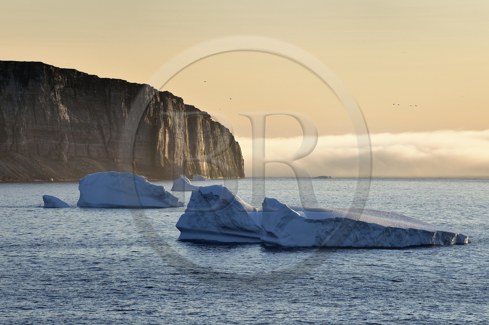 Groenland, cote Nord-Ouest, Murchison sund au nord de Baffin Bay, les falaises vertigineuses de Hakluyt Island au large de la cote ouest de Kiatak (Northumberland Island)