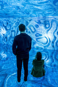 Espagne, Catalogne, Barcelone, quartier de l'Eixample, Passeig de Gracia, Casa Batllo de l'architecte du modernisme catalan Antoni Gaudi, site classé au Patrimoine Mondial de l'UNESCO, In the Mind of Gaudi dans le Gaudi Cube, une expérience réelle à 360º par l'artiste new media Refik Anadol