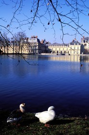 France, Seine-et-Marne (77), château de Fontainebleau, étang des Carpes