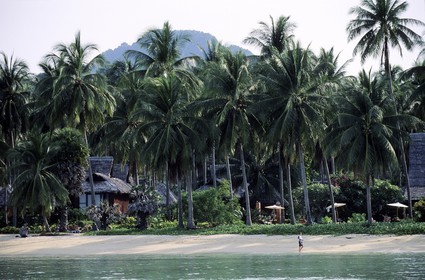 Thaïlande, Archipel de Ko Phi Phi, île de Phi Phi Don, Loh Ba Kao Bay, resort de luxe Pee Pee island village