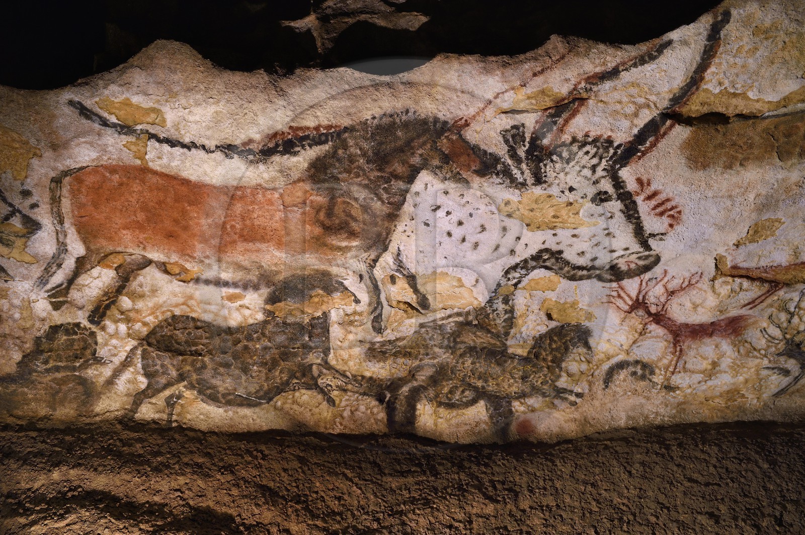 France, Dordogne (24), Périgord Noir, vallée de la Vezère, Montignac-sur-Vézère, Grotte de Lascaux II, reconstitution du site préhistorique et grotte ornée classés Patrimoine Mondial de l'UNESCO, Cheval et Aurochs