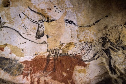 France, Dordogne, Perigord Noir, Vezere Valley, Montignac sur Vezere, Lascaux II caves, reconstitution of the prehistoric site and decorated cave listed as World Heritage by UNESCO, Aurochs