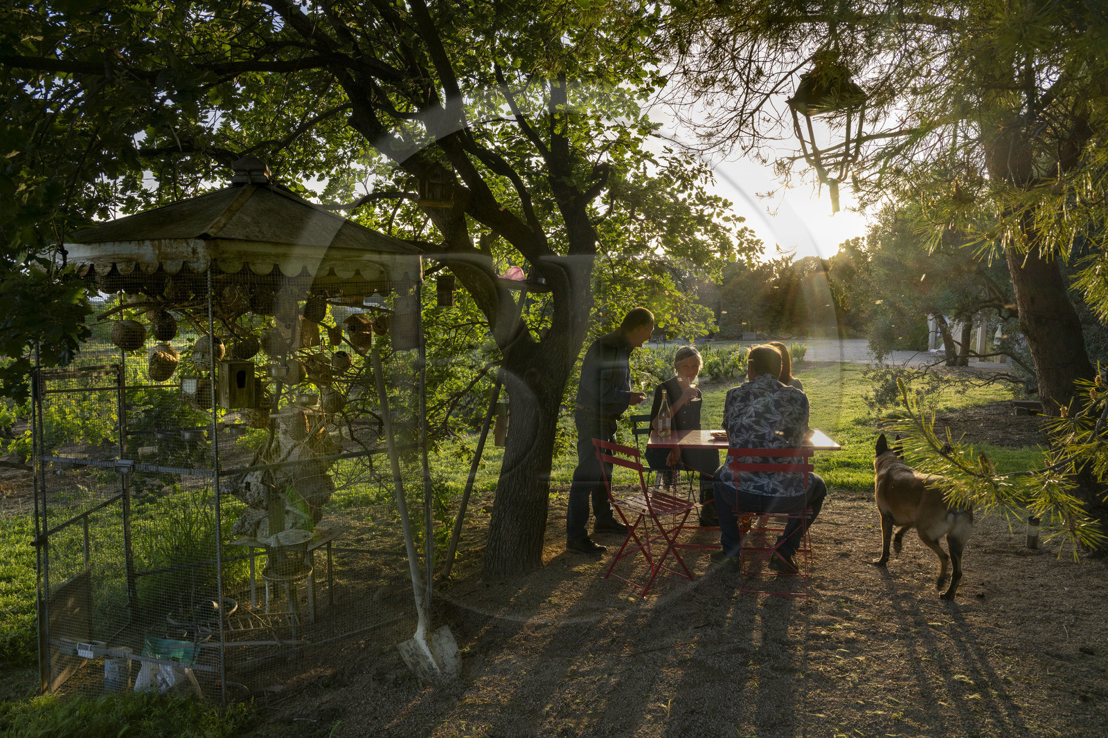 France, Vaucluse (84), Dentelles de Montmirail, Beaumes-de-Venise, Mas de l’Evajade, la maison d’hôtes vigneronne de Corinne et Pascal Bernard