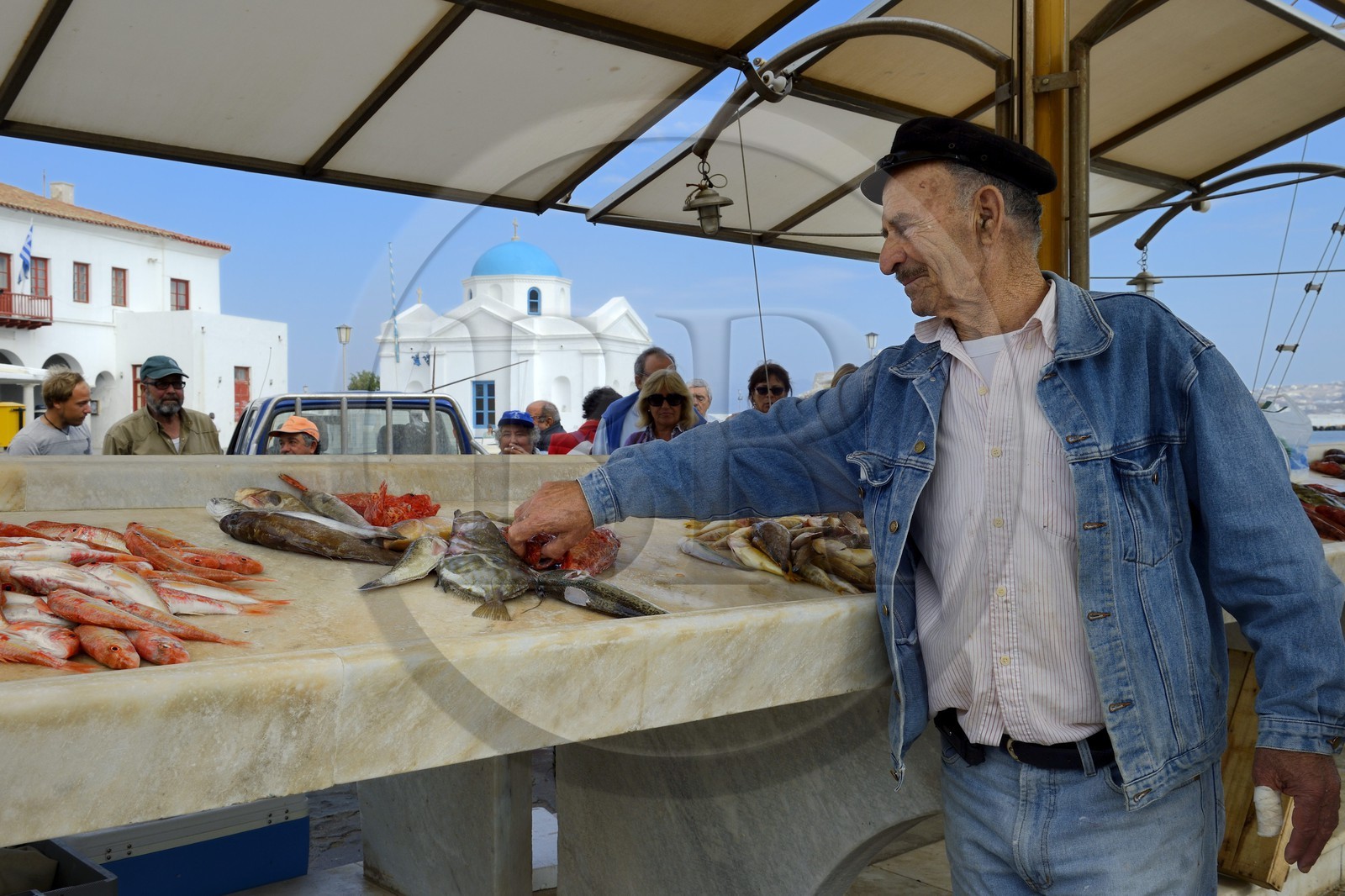 Grèce, Les Cyclades, mer Égée, île de Mykonos, Chora (Mykonos town), marché aux poissons sur le port