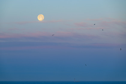France, Bouches-du-Rhône (13), Marseille, coucher de lune au dessus du phare du Planier