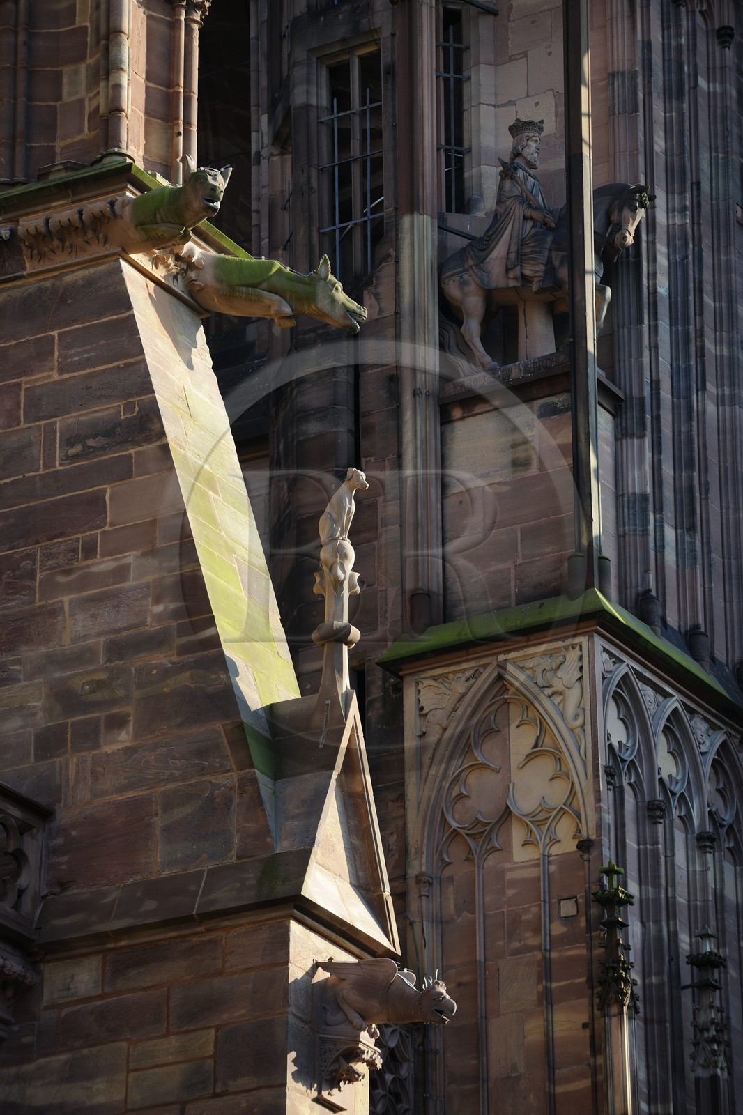 France, Bas-Rhin (67), Strasbourg, la cathédrale Notre-Dame, gargouille de la façade Nord