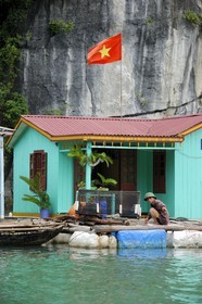 Vietnam, province de Quang Ninh, la Baie d'Halong classée Patrimoine Mondial de l'UNESCO, village flottant de pêcheurs de Vong Vieng