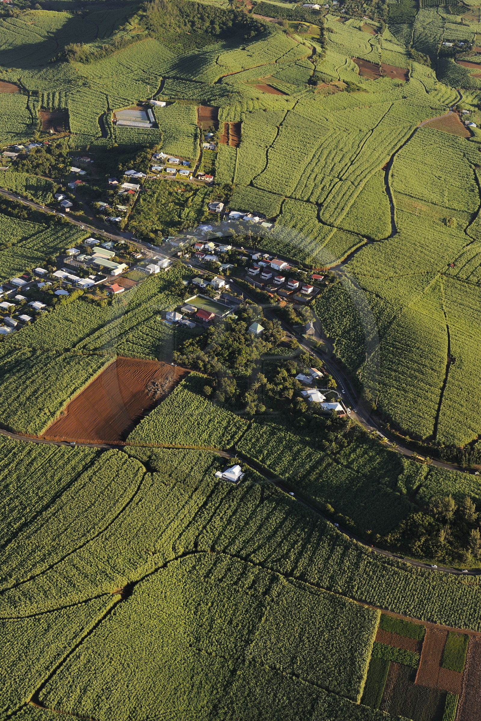 France, Reunion Island (French overseas department), southern coast vers Petite Ile, sugar cane fields (aerial view)
