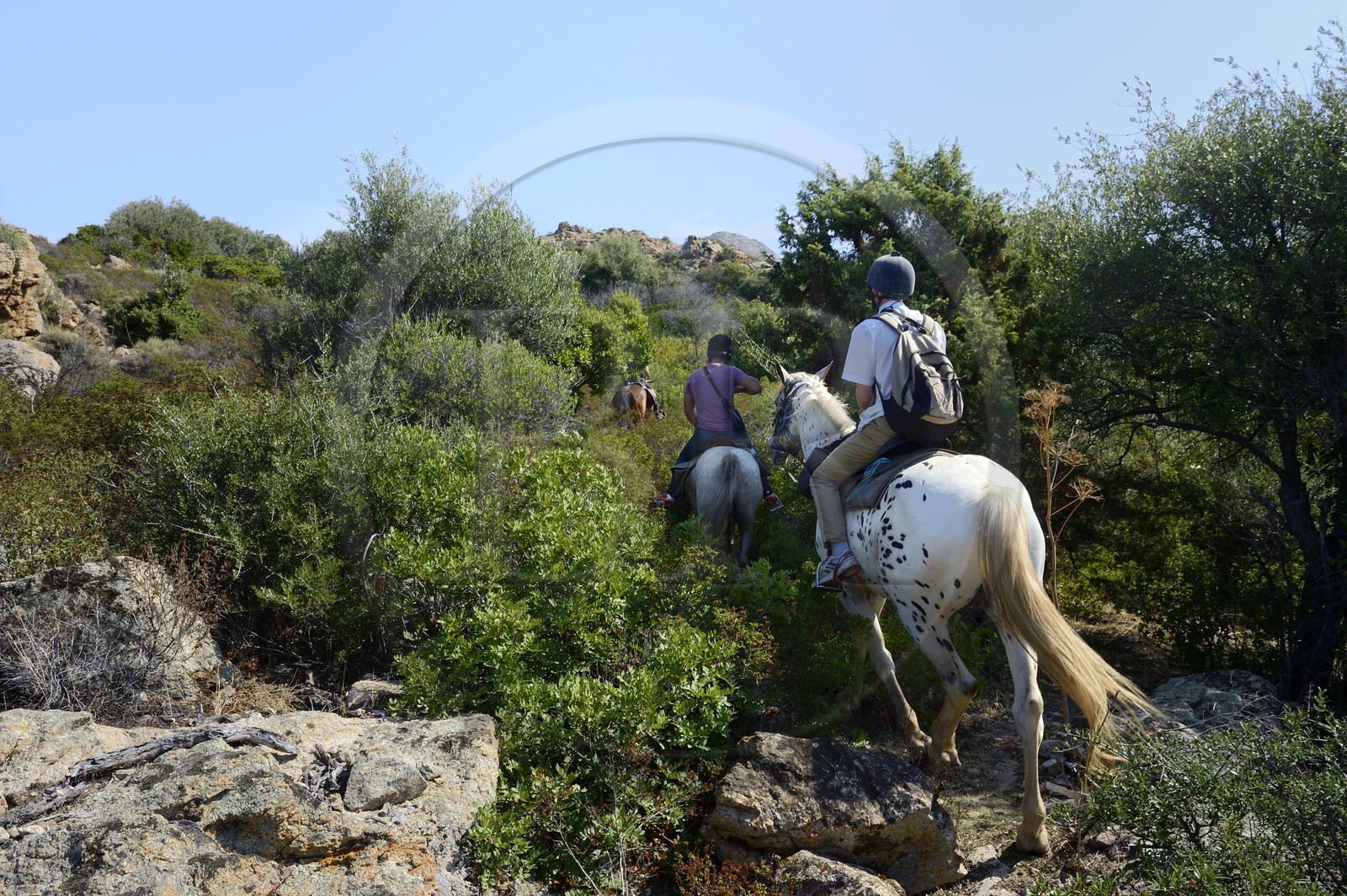 France, Haute Corse, Nebbio, riders trekking in the Agriates Desert