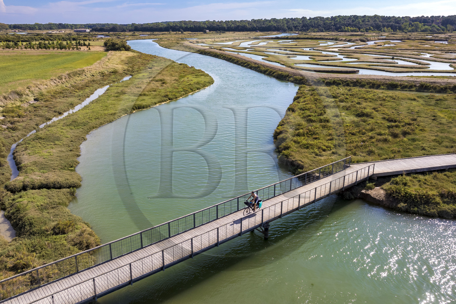 France, Vendée (85), Talmont Saint Hilaire, Guittière marshes in the hinterland of Pointe du Payré, footbridge over the Payré river (aerial view)