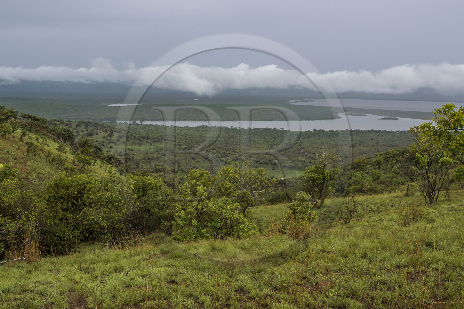 Rwanda, Parc national de l'Akagera, lac Birengero