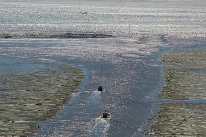 France, Charente-Maritime (17), Ile d'Oléron, le Chateau-d'Oléron, bateau ostréicole dans le chenal de sortie du port à marée basse et pecheurs à pied sur l'estran (vue aérienne)