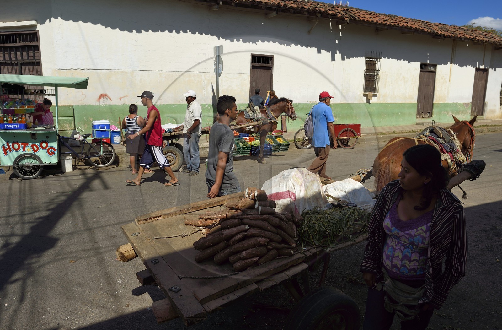 Nicaragua, Leon, quartier de Sutiaba, vendeuse de légumes aux abords du marché
