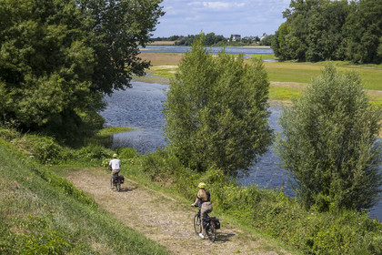 France, Maine-et-Loire (49), vallée de la Loire classée au Patrimoine Mondial par l'UNESCO, Gennes-Val-de-Loire, randonnée à bicyclette sur les berges de la Loire