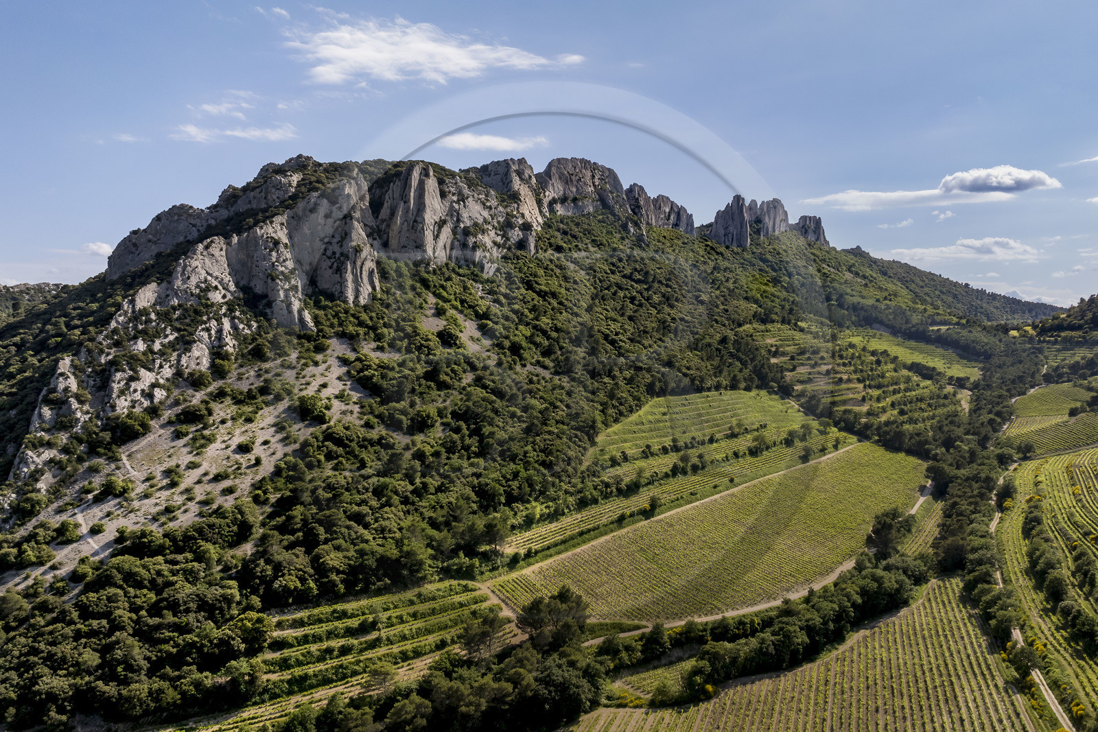 France, Vaucluse (84), Dentelles de Montmirail, la montagne des Dentelles Sarrasines et des vignobles en restanques (vue aérienne)