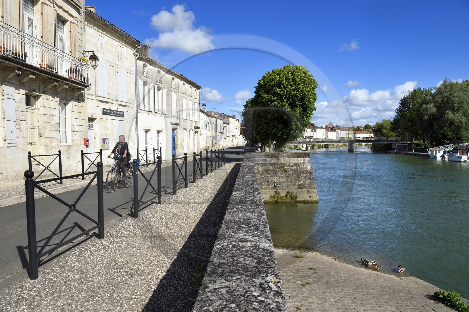 France, Charente-Maritime (17), Saintonge, Saint-Savinien,  labellisé Villages de pierres et d'eau, cycliste faisant la véloroute La Flow Vélo sur les quais de la Charente